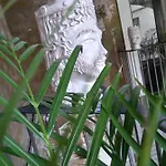 Apartamento Il Centro Storico Catania